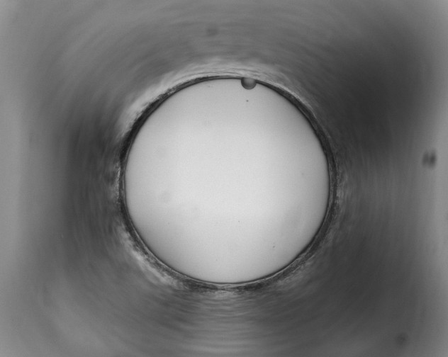X0000115361507200911241204