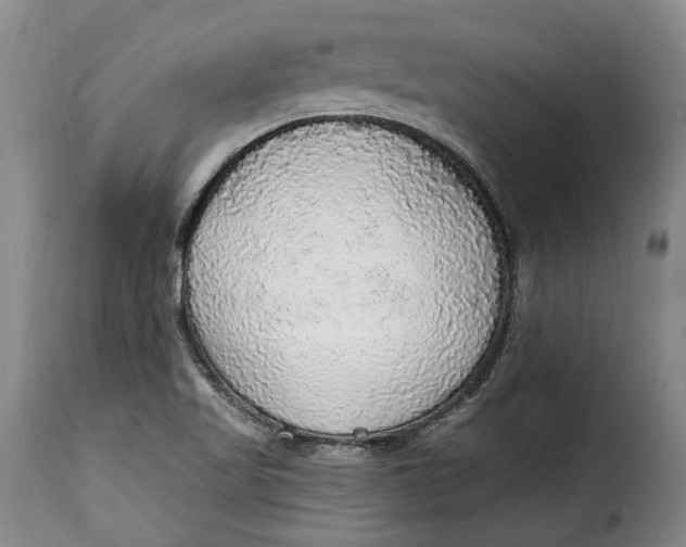 X0000115361509200911241204