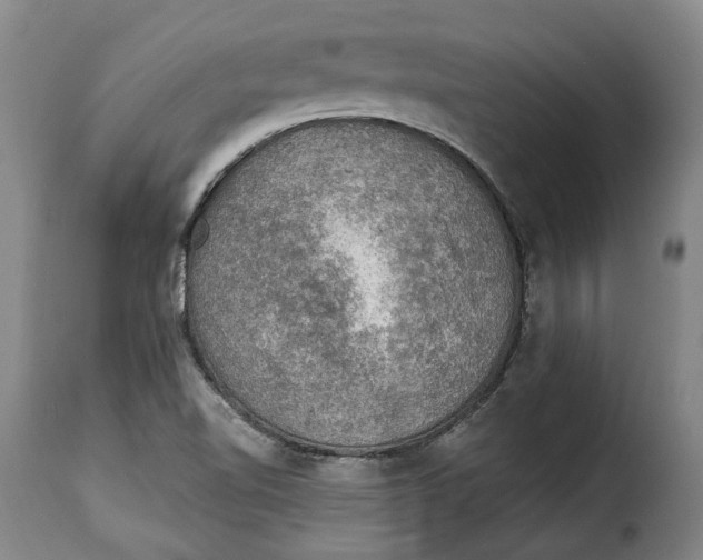 X0000115361510200911241204