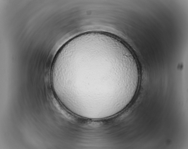 X0000115361513200911241204
