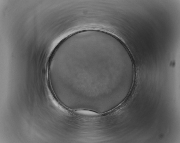 X0000115361515200911241204
