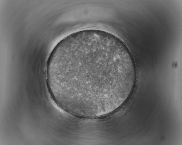 X0000115361519200911241204