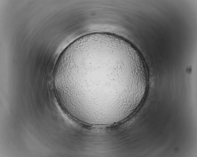 X0000115361521200911241204