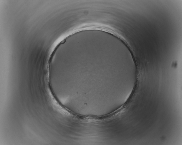 X0000115361522200911241204