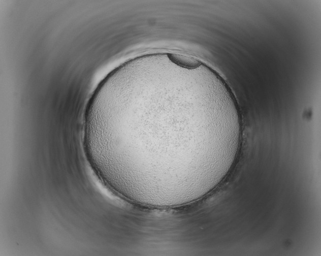 X0000115361523200911241204