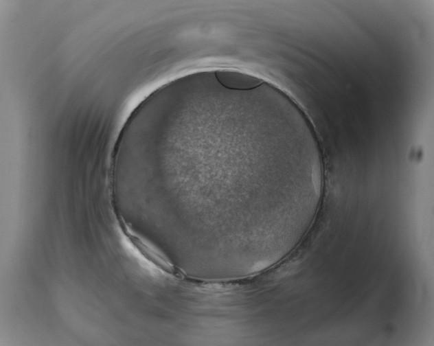 X0000115361527200911241204