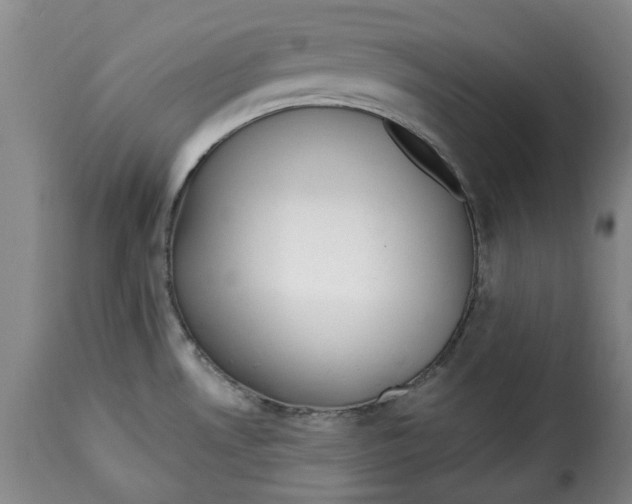 X0000115361530200911241204