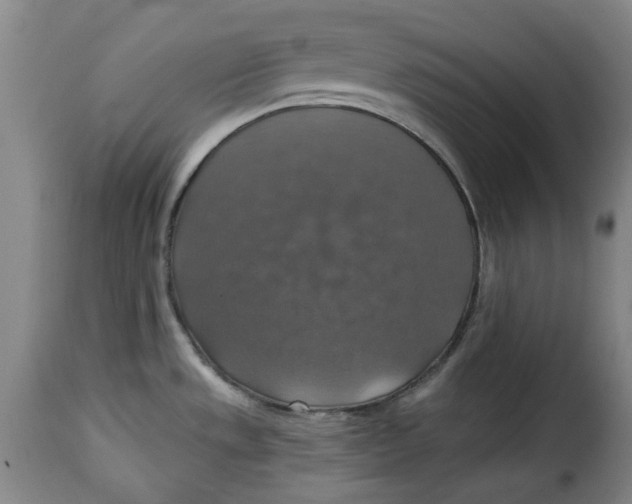 X0000115361533200911241205
