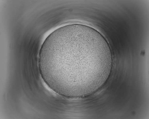 X0000115361535200911241205