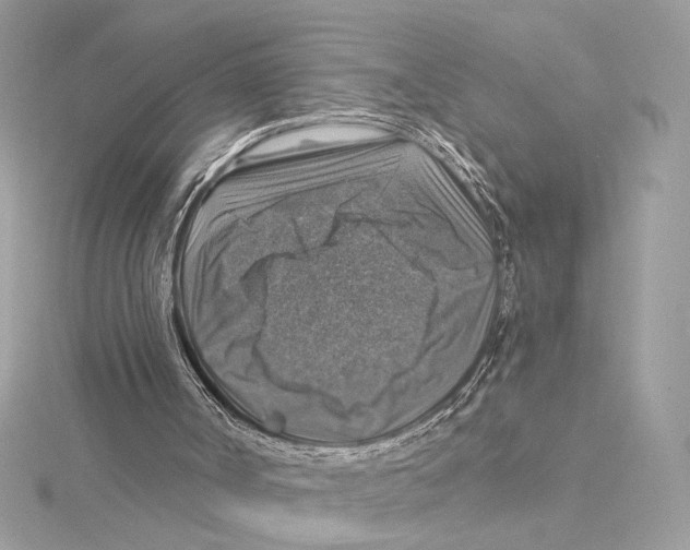 X0000115360002200912011123
