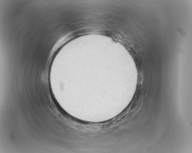 X0000115360004200912011123