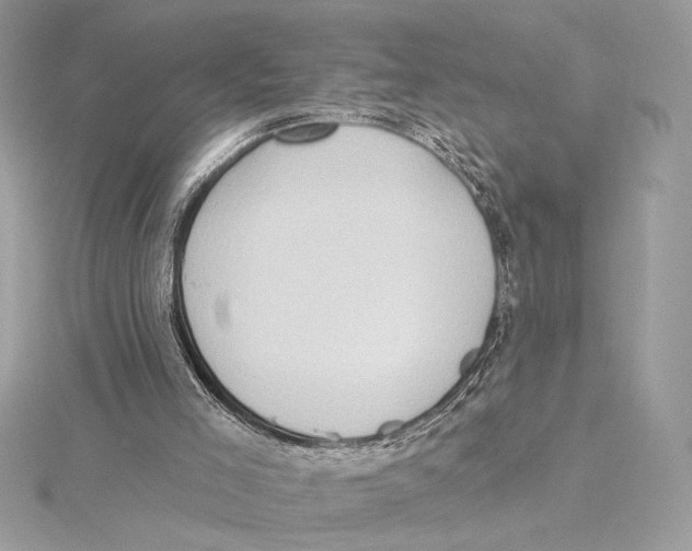 X0000115360005200912011123