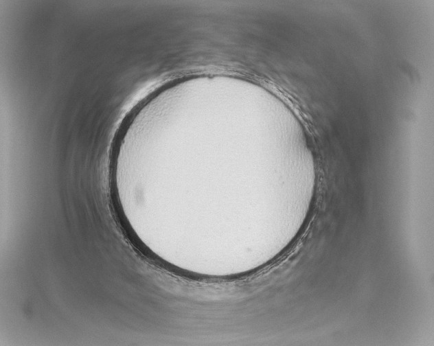 X0000115360008200912011122
