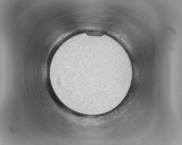 X0000115360016200912011122