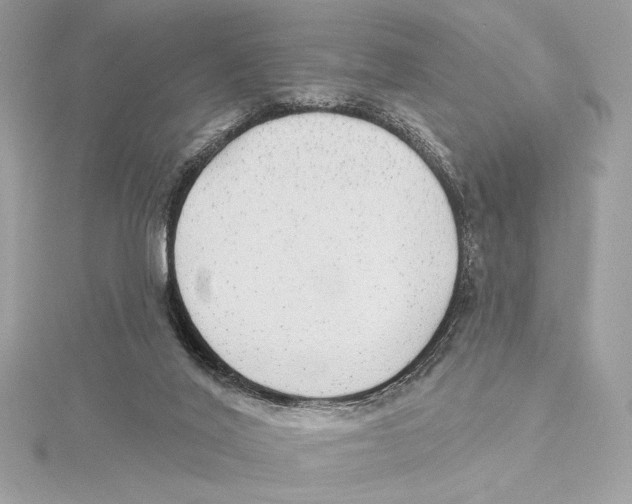 X0000115360020200912011122