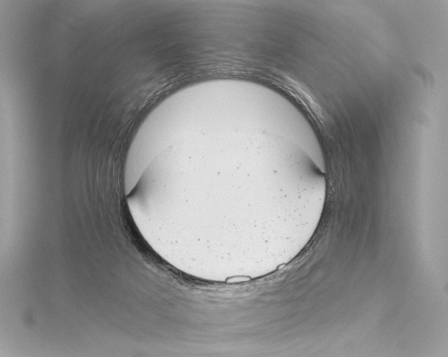X0000115360025200912011122