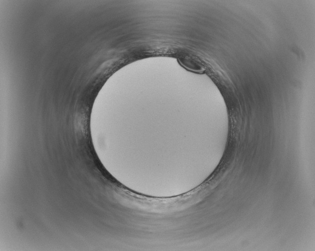 X0000115360035200912011122