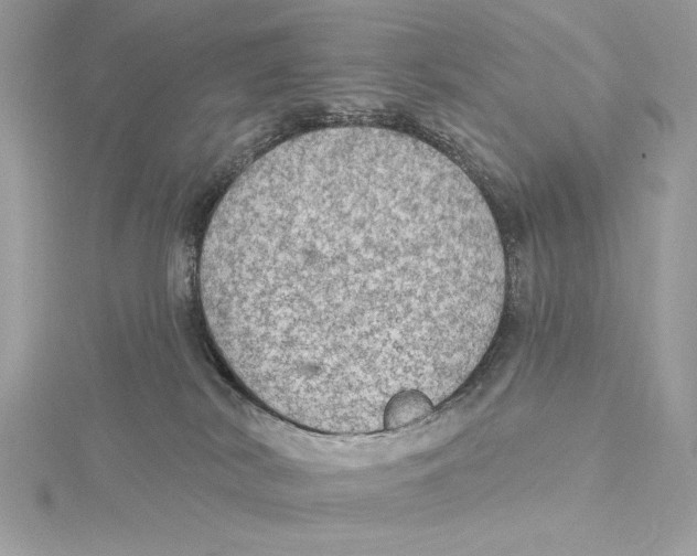 X0000115360038200912011122