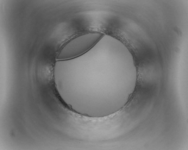 X0000115360043200912011122