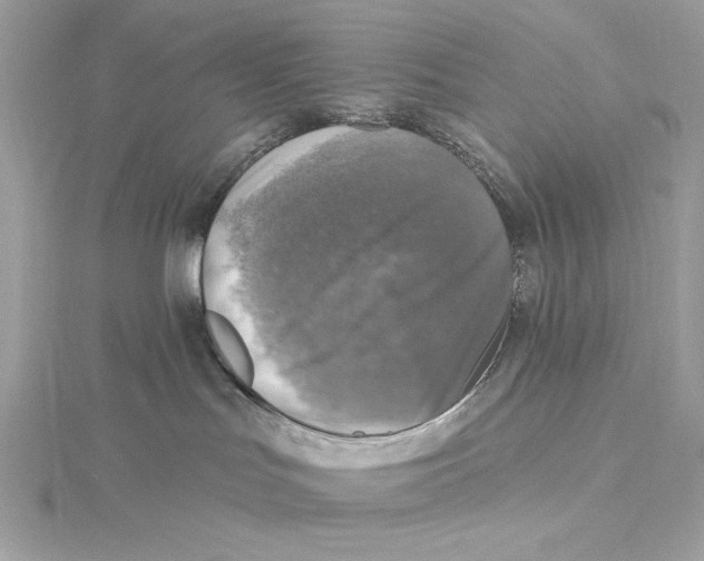 X0000115360047200912011122
