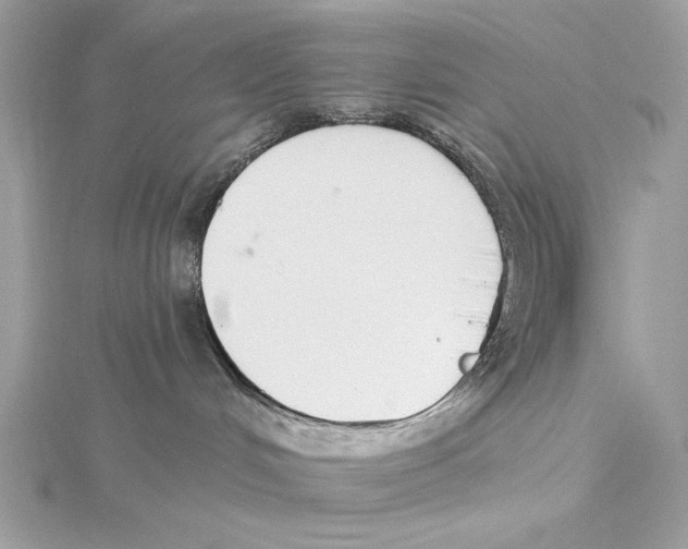 X0000115360048200912011122