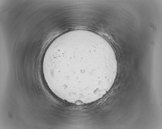 X0000115360049200912011121