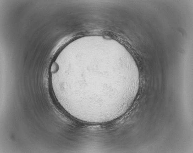 X0000115360054200912011121