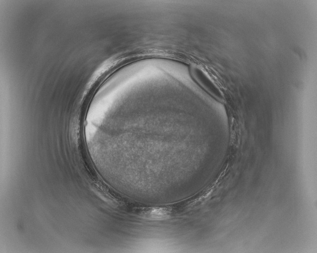 X0000115360056200912011121