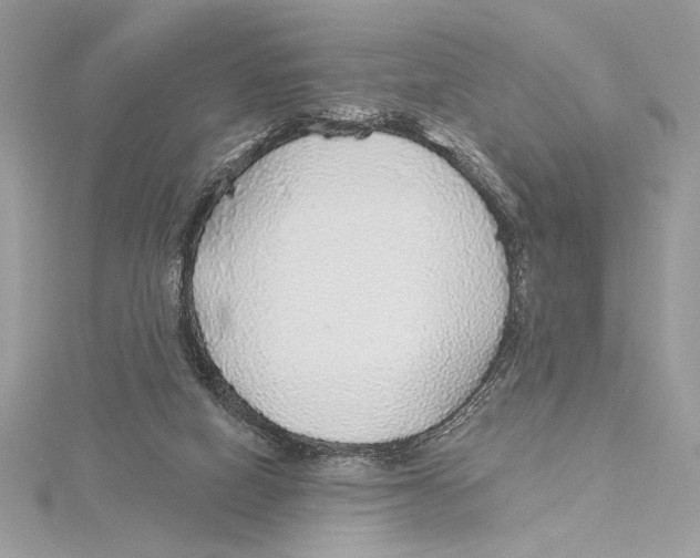 X0000115360066200912011122