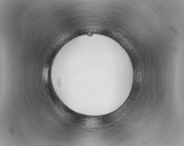 X0000115360070200912011122