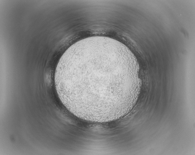 X0000115360074200912011122