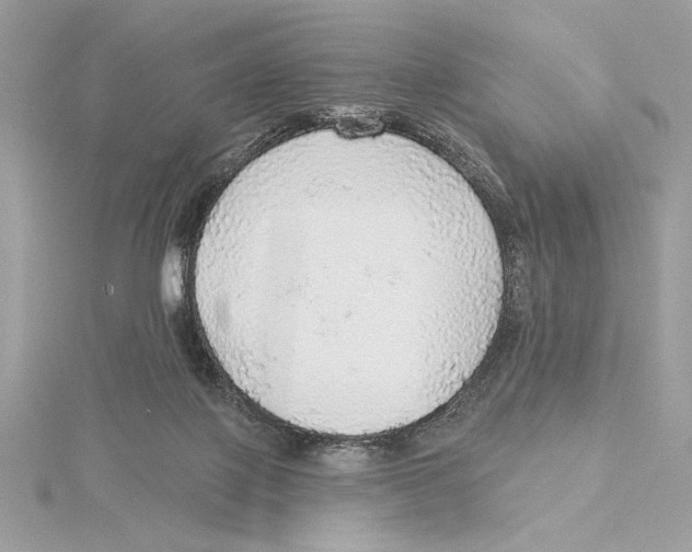 X0000115360075200912011122