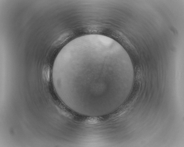 X0000115360076200912011122