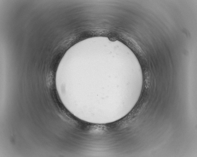 X0000115360077200912011122