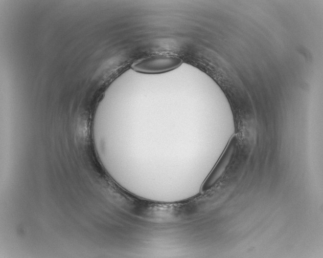 X0000115360084200912011122