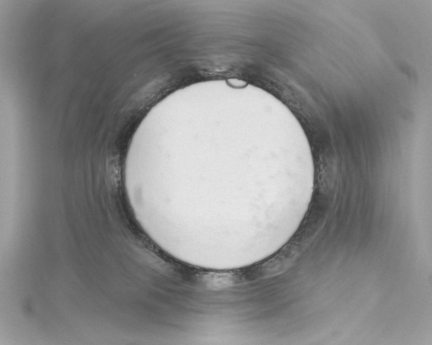 X0000115360085200912011122