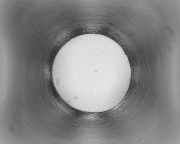 X0000115360086200912011122