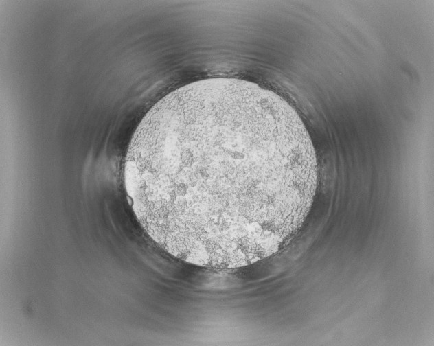 X0000115360093200912011122