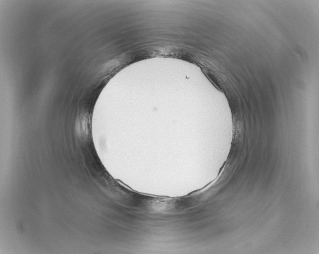 X0000115360094200912011122