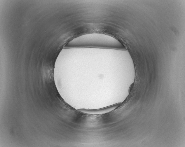 X0000115360096200912011122