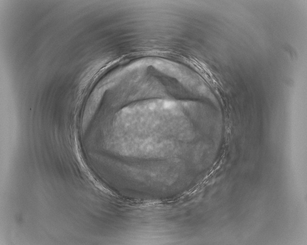X0000115360097200912011121