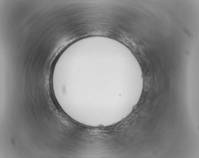 X0000115360098200912011121