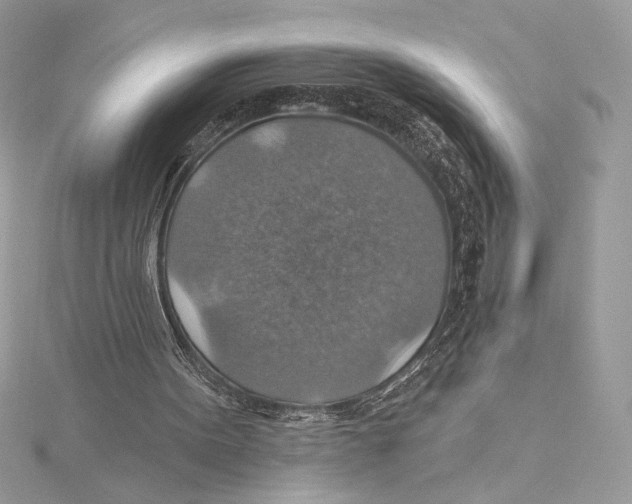 X0000115360099200912011121