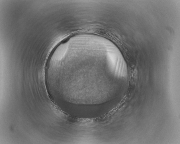 X0000115360100200912011121