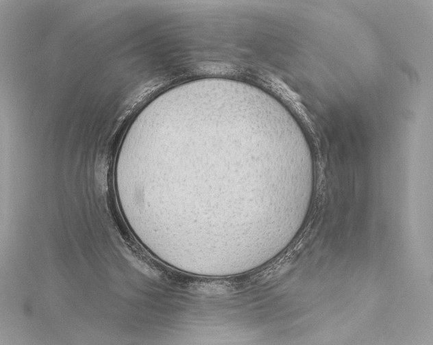 X0000115360106200912011121