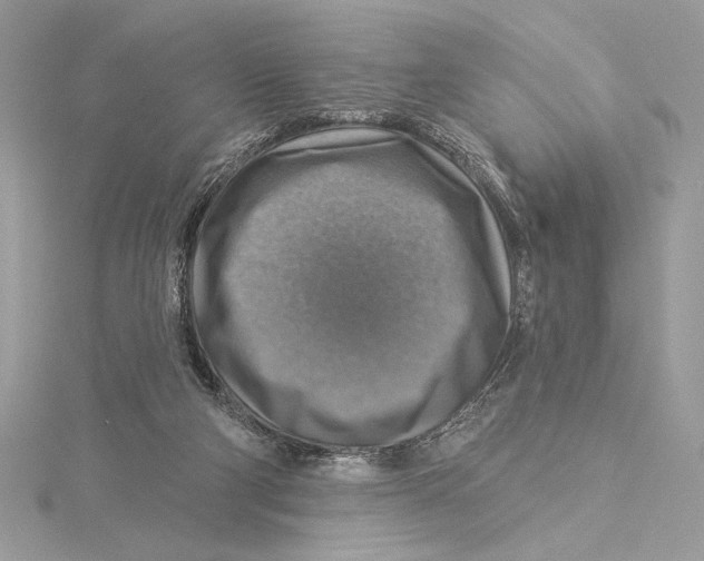 X0000115360114200912011121