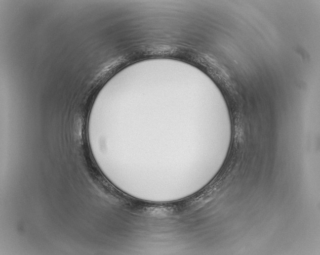 X0000115360115200912011121
