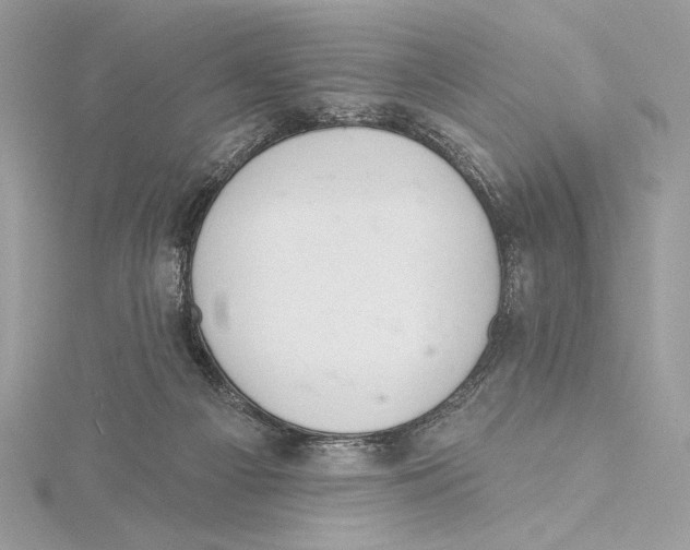 X0000115360121200912011121