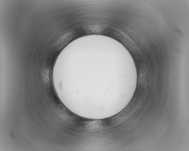 X0000115360122200912011121