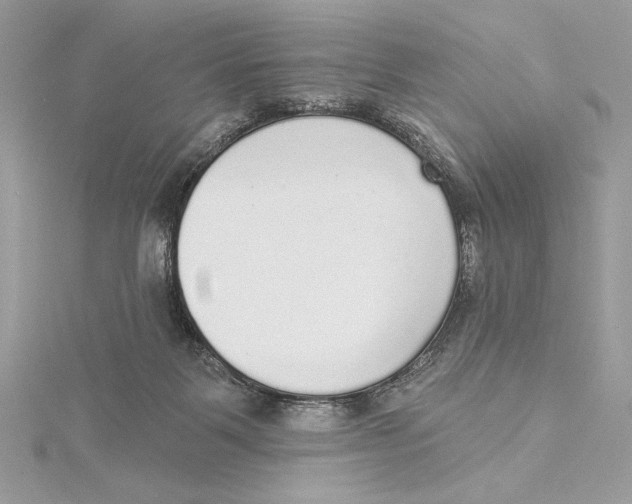 X0000115360123200912011121